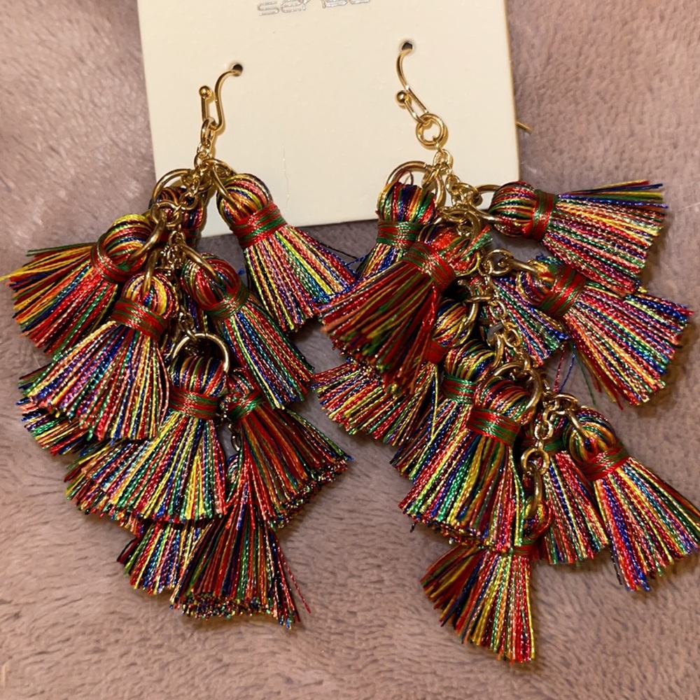 Adorable multi color earrings